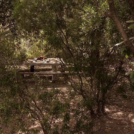 Nel Giardino Dei Pesci Volanti Casa de Férias San Pantaleo