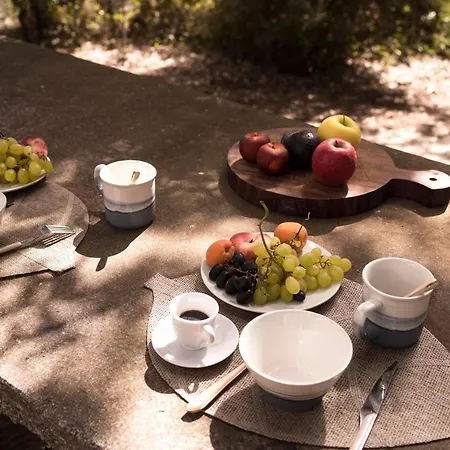 Ferienhaus Nel Giardino Dei Pesci Volanti San Pantaleo