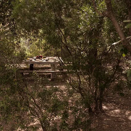 Nel Giardino Dei Pesci Volanti Holiday home San Pantaleo